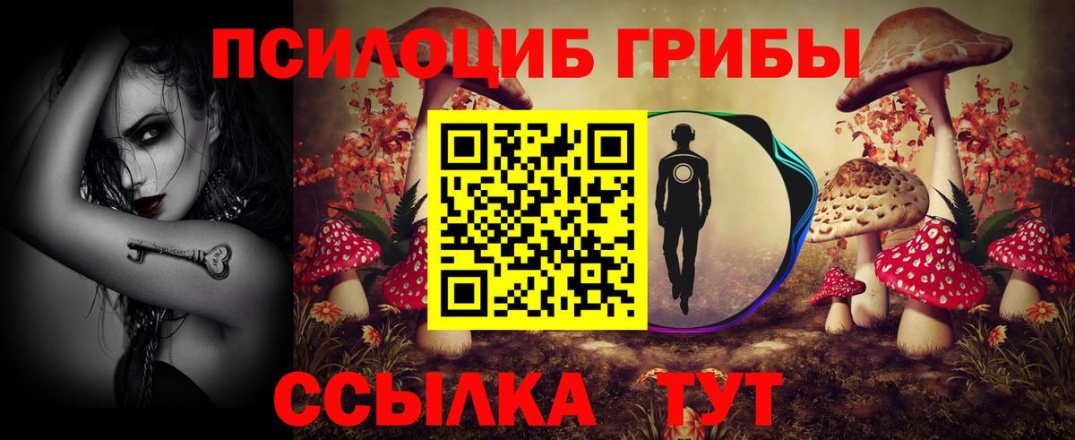 Псилоцибиновые грибы Psilocybine cubensis Донецк