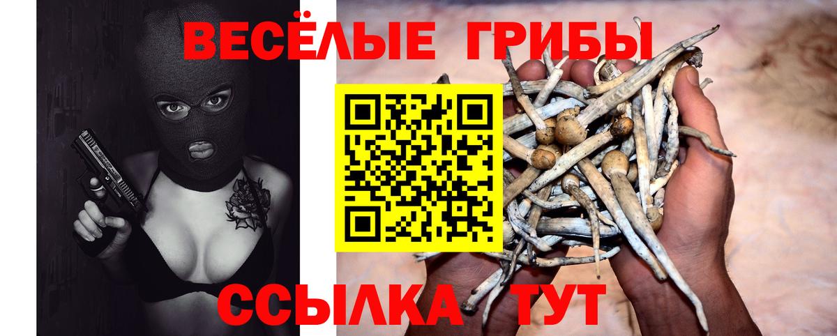 Псилоцибиновые грибы прущие грибы  Вход с VPN  Донецк 